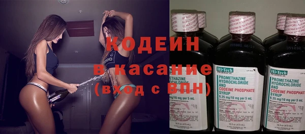 спиды Ельня