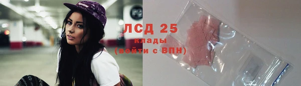 прущие грибы Алзамай