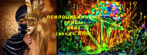 прущие грибы Алзамай